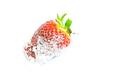 strawberry in sugar