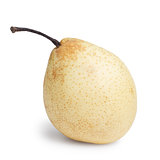 single nashi pear