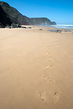 Foot prints in the sand on Cordama Beach, Portugal
