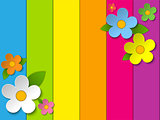 Beautiful Spring Flowers Rainbow Background 
