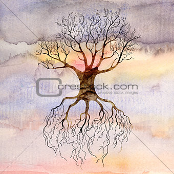 tree against the sky