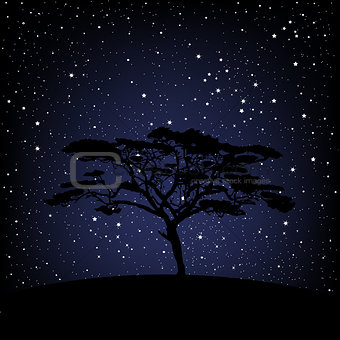 Tree over starry night