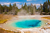 Beautiful Blue Hot Spring in Yellowstone National Park ,USA