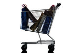 shopping cart with christmas gifts silhouette