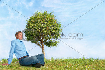 lonely tree with blue sky and green grass 