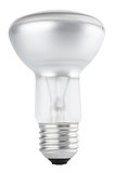Halogen bulb on white