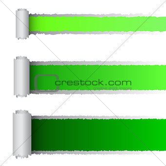 Vector tear paper in green color