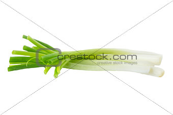 Green onions 