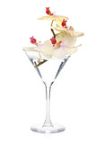 Orchid flowers in a cocktail glass