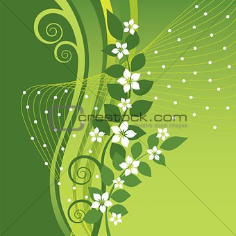 White Jasmine flowers on green swirls background