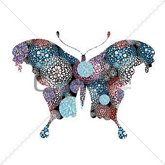 exotic butterfly
