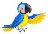 Cute blue and yellow parrot