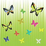 green background with butterflies