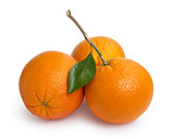 three ripe round oranges with stem and leaf