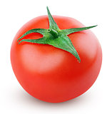 Single fresh red tomato on white