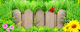 Wooden fence, flowers and green grass