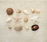 Starfishes and conches on canvas texture
