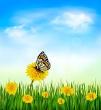 Summer background with dandelions and a butterfly. Vector. 