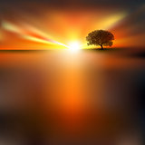 abstract background with tree and sunrise