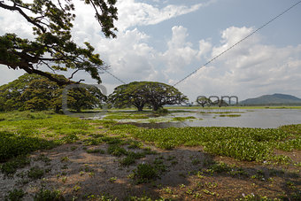 Sri Lanka. Yala National Park.
