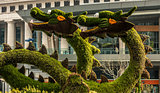 dragons sculptured trees in pudong shanghai china