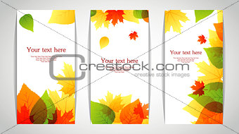 Vector illustration of Autumn leafs back