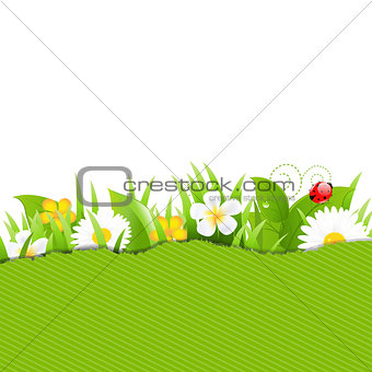 Green Torn Paper With Flowers And Grass