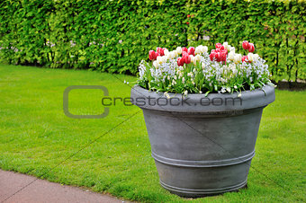 basket of spring flowers in garden