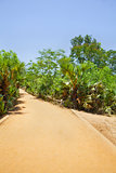 Vertical tropical red gravel drive road path