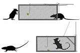 Humane rat trap