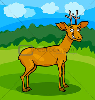wild deer cartoon illustration