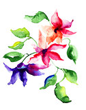 Stylized Beautiful flowers illustration