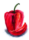 Watercolor illustration of red pepper 