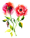 Roses flower