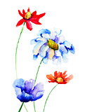 Original flowers illustration