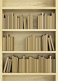 bookcase with books