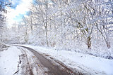 road in snowy winter