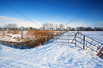 snow on Dutch pastures