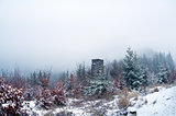 hunter hut in winter misty forest