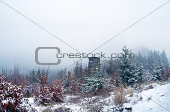 hunter hut in winter misty forest