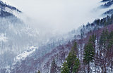 winter mountains in fog