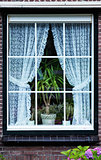 holland Window