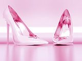 pink elegant female shoes on a metal background