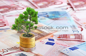 Pine tree growing from pile of coins 