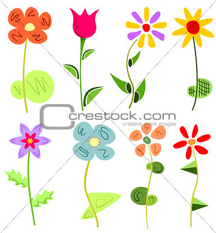 colored floral set
