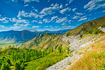 Summer mountain landscape in sunny weather. Altai.