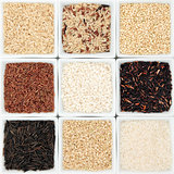 Rice Grain Varieties