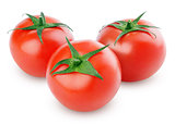 Three fresh red tomatoes on white