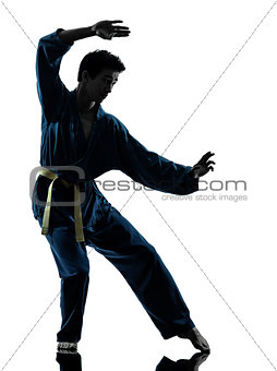 karate vietvodao martial arts man silhouette