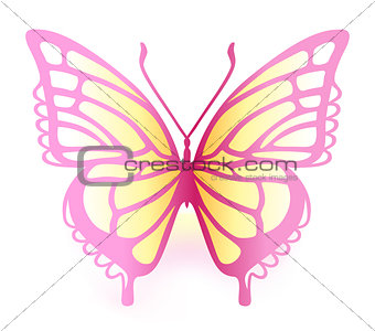 Colored butterfly